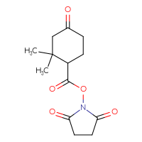 Chemical structure of 2,5-dioxopyrrolidin-1-yl 2,2-dimethyl-4-oxocyclohexane-1-carboxylate - CSSB20270393214