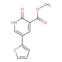 Chemical structure of methyl 2-oxo-5-(thiophen-2-yl)-1,2-dihydropyridine-3-carboxylate - CSSB06583393741