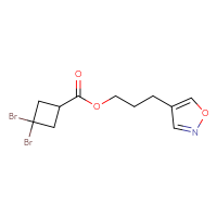 C11H13Br2NO3