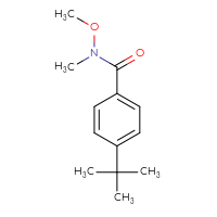 C13H19NO2