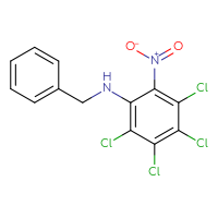 Chemical structure of N-benzyl-2,3,4,5-tetrachloro-6-nitroaniline - CSSB00000041226