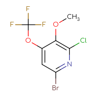 C7H4BrClF3NO2