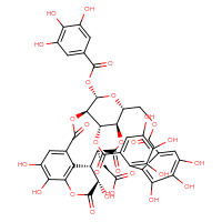 Chemical structure of 2-[(4R,5S,7R,25S,26R,29S,30S,31S)-13,14,15,18,19,20,31,35,36-nonahydroxy-2,10,23,28,32-pentaoxo-5-(3,4,5-trihydroxybenzoyloxy)-3,6,9,24,27,33-hexaoxaheptacyclo[28.7.1.0⁴,²⁵.0⁷,²⁶.0¹¹,¹⁶.0¹⁷,²².0³⁴,³⁸]octatriaconta-1(37),11,13,15,17,19,21,34(38),35-nonaen-29-yl]acetic acid - CSSB02495363065