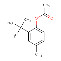 Chemical structure of 2-tert-butyl-4-methylphenyl acetate - CSSB00000001317