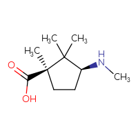C10H19NO2