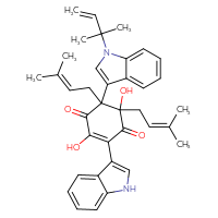 Chemical structure of 2,5-dihydroxy-3-(1H-indol-3-yl)-5,6-bis(3-methylbut-2-en-1-yl)-6-[1-(2-methylbut-3-en-2-yl)-1H-indol-3-yl]cyclohex-2-ene-1,4-dione - CSSB06256047764