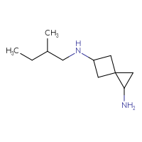 C11H22N2