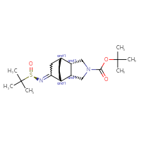 Chemical structure of tert-butyl (1RS,2SR,6SR,7RS)-8-{[(R)-2-methylpropane-2-sulfinyl]imino}-4-azatricyclo[5.2.2.0²,⁶]undecane-4-carboxylate - CSSB21332856391
