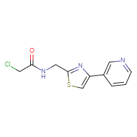 Chemical structure of 2-chloro-N-{[4-(pyridin-3-yl)-1,3-thiazol-2-yl]methyl}acetamide - CSSB21332047077