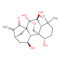 Chemical structure of (1S,2S,3S,5S,8S,9S,10S,11R,15S)-3,9,10,15-tetrahydroxy-12,12-dimethyl-6-methylidene-17-oxapentacyclo[7.6.2.1⁵,⁸.0¹,¹¹.0²,⁸]octadecan-7-one - CSSB06256040767
