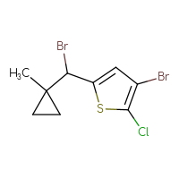 C9H9Br2ClS