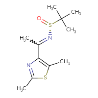 Chemical structure of (R)-N-[1-(2,5-dimethyl-1,3-thiazol-4-yl)ethylidene]-2-methylpropane-2-sulfinamide - CSSB21332857300