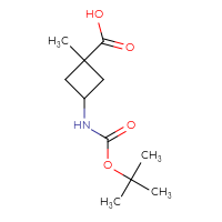 C11H19NO4