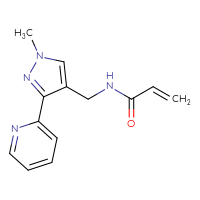Chemical structure of N-{[1-methyl-3-(pyridin-2-yl)-1H-pyrazol-4-yl]methyl}prop-2-enamide - CSSB00160543574