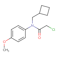 Chemical structure of 2-chloro-N-(cyclobutylmethyl)-N-(4-methoxyphenyl)acetamide - CSSB00020650189