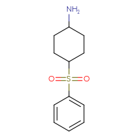 Chemical structure of 4-(benzenesulfonyl)cyclohexan-1-amine - CSSB00005684716