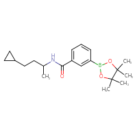 Chemical structure of N-(4-cyclopropylbutan-2-yl)-3-(4,4,5,5-tetramethyl-1,3,2-dioxaborolan-2-yl)benzamide - CSSB02229497174