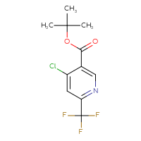 C11H11ClF3NO2