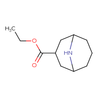 Chemical structure of ethyl 9-azabicyclo[3.3.1]nonane-3-carboxylate - CSSB00009934078