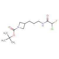 Chemical structure of tert-butyl 3-[3-(2-chloro-2-fluoroacetamido)propyl]azetidine-1-carboxylate - CSSB09891979842