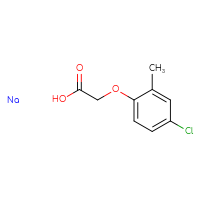 Chemical structure of 2-(4-chloro-2-methylphenoxy)acetic acid sodium - CSSB21151095347