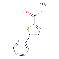 Chemical structure of methyl 5-(pyridin-2-yl)thiophene-2-carboxylate - CSSB00009992989