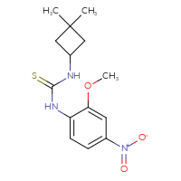 Chemical structure of 3-(3,3-dimethylcyclobutyl)-1-(2-methoxy-4-nitrophenyl)thiourea - CSSB07050048247