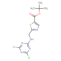 Chemical structure of tert-butyl 2-{[(4,6-dichloro-1,3,5-triazin-2-yl)amino]methyl}-1,3-thiazole-5-carboxylate - CSSB21332175325