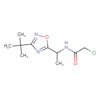 Chemical structure of N-[1-(3-tert-butyl-1,2,4-oxadiazol-5-yl)ethyl]-2-chloroacetamide - CSSB01994505998