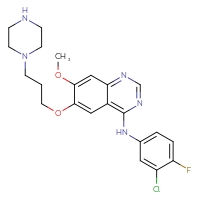 C22H25ClFN5O2