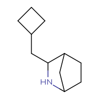 C11H19N