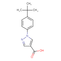Chemical structure of 1-(4-tert-butylphenyl)-1H-pyrazole-4-carboxylic acid - CSSB02169519855