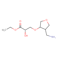 C10H19NO5