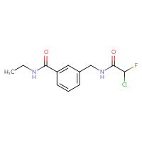 Chemical structure of 3-[(2-chloro-2-fluoroacetamido)methyl]-N-ethylbenzamide - CSSB21332167509