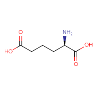C6H11NO4