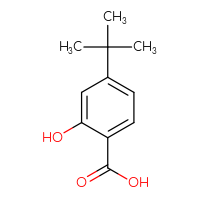 Chemical structure of 4-tert-butyl-2-hydroxybenzoic acid - CSSB00009848251