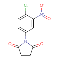 Chemical structure of 1-(4-chloro-3-nitrophenyl)pyrrolidine-2,5-dione - CSSB00025727023