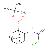 Chemical structure of tert-butyl 2-(2-chloroacetamido)-7,7-dimethylbicyclo[2.2.1]heptane-1-carboxylate - CSSB21332093132