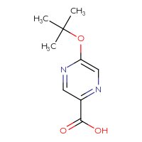 Chemical structure of 5-(tert-butoxy)pyrazine-2-carboxylic acid - CSSB00012044349