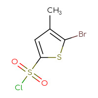 Chemical structure of 5-bromo-4-methylthiophene-2-sulfonyl chloride - CSSB00000685537