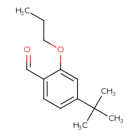 Chemical structure of 4-tert-butyl-2-propoxybenzaldehyde - CSSB06370998129