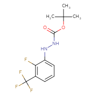 Chemical structure of N'-[2-fluoro-3-(trifluoromethyl)phenyl](tert-butoxy)carbohydrazide - CSSB02517442165