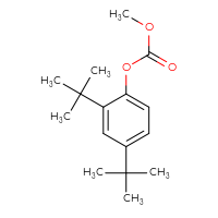 Chemical structure of 2,4-di-tert-butylphenyl methyl carbonate - CSSB00121572383