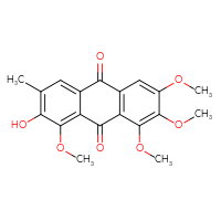 Chemical structure of 2-hydroxy-1,6,7,8-tetramethoxy-3-methyl-9,10-dihydroanthracene-9,10-dione - CSSB00016991040