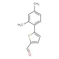 Chemical structure of 5-(2,4-dimethylphenyl)thiophene-2-carbaldehyde - CSSB00011265017