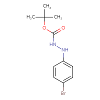 Chemical structure of N'-(4-bromophenyl)(tert-butoxy)carbohydrazide - CSSB00010414980