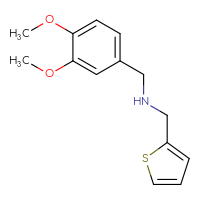 Chemical structure of [(3,4-dimethoxyphenyl)methyl][(thiophen-2-yl)methyl]amine - CSSB00000389316
