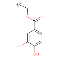 Chemical structure of ethyl 3,4-dihydroxybenzoate - CSSB00011212868
