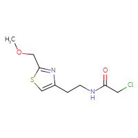 Chemical structure of 2-chloro-N-{2-[2-(methoxymethyl)-1,3-thiazol-4-yl]ethyl}acetamide - CSSB14931747387