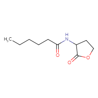 Chemical structure of N-(2-oxooxolan-3-yl)hexanamide - CSSB00000066727